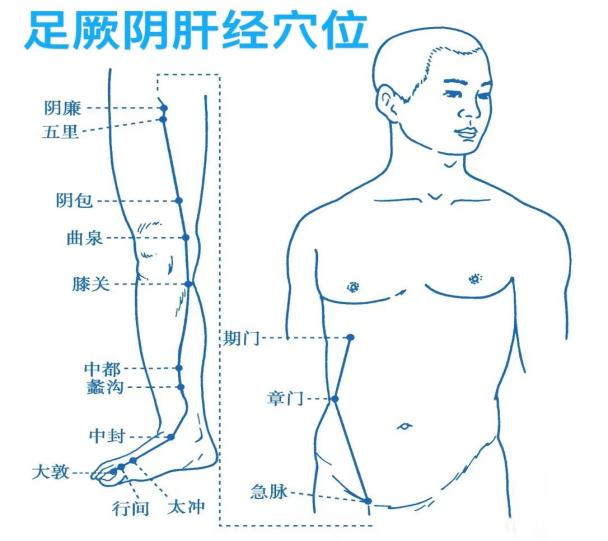 为什么说“气的肝疼”？看完这篇，你可能就懂了